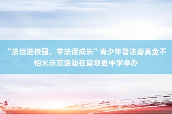 “法治进校园，学法促成长”青少年普法磨真金不怕火示范活动在留坝县中学举办